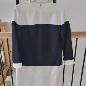 Kate Spade Swift Dress